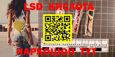 ПСИЛОЦИБИНОВЫЕ ГРИБЫ Кандалакша