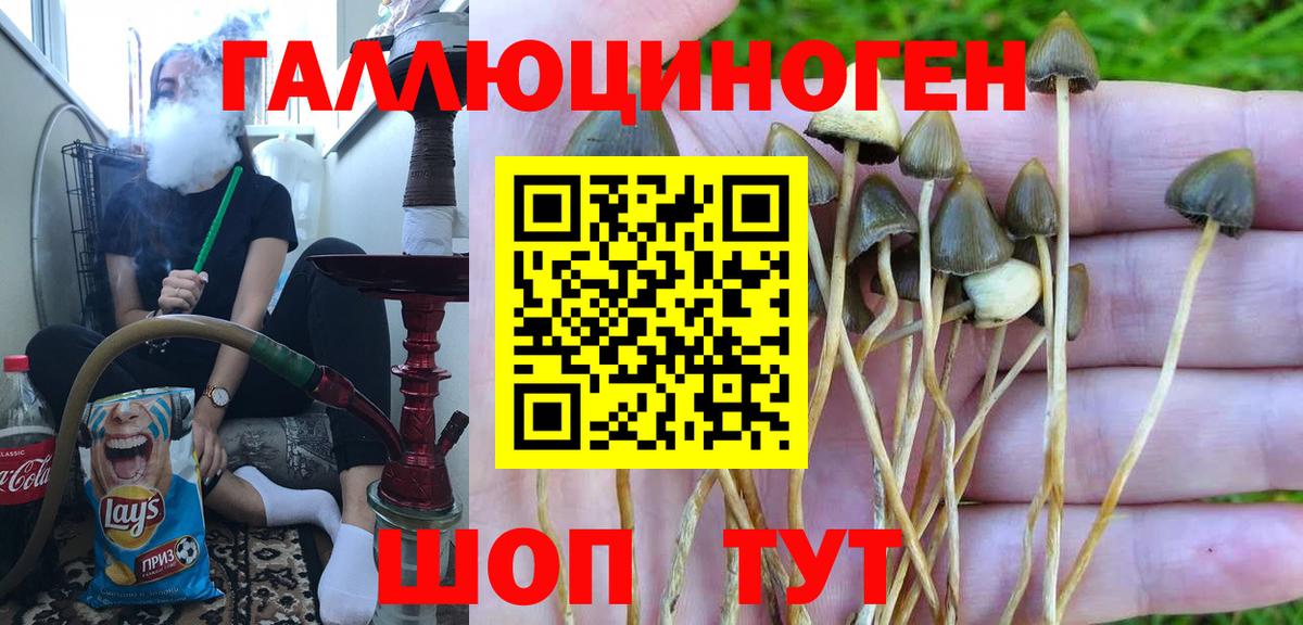 Псилоцибиновые грибы мицелий Кызыл