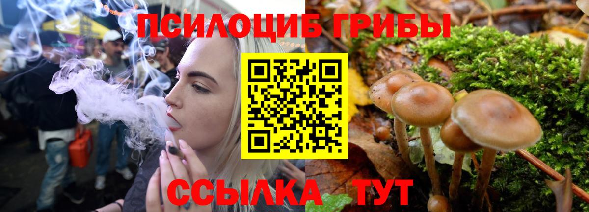 Кызыл  Галлюциногенные грибы Psilocybine cubensis  Вход с VPN  Псилоцибиновые грибы Psilocybine cubensis 